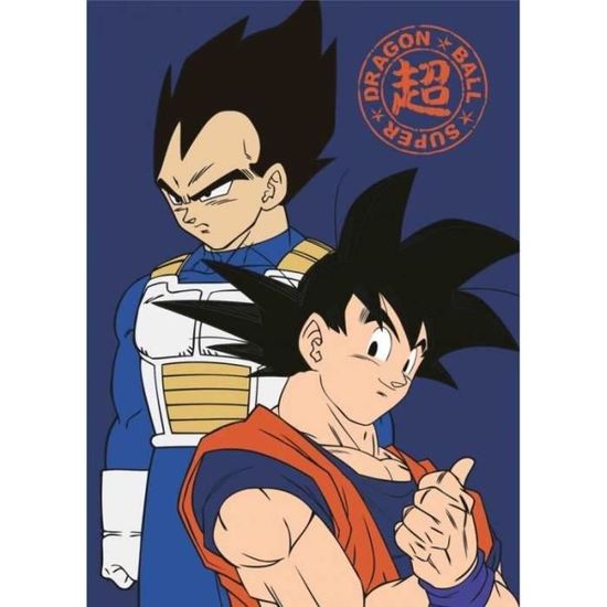 Plaid Polaire Dragon Ball Super