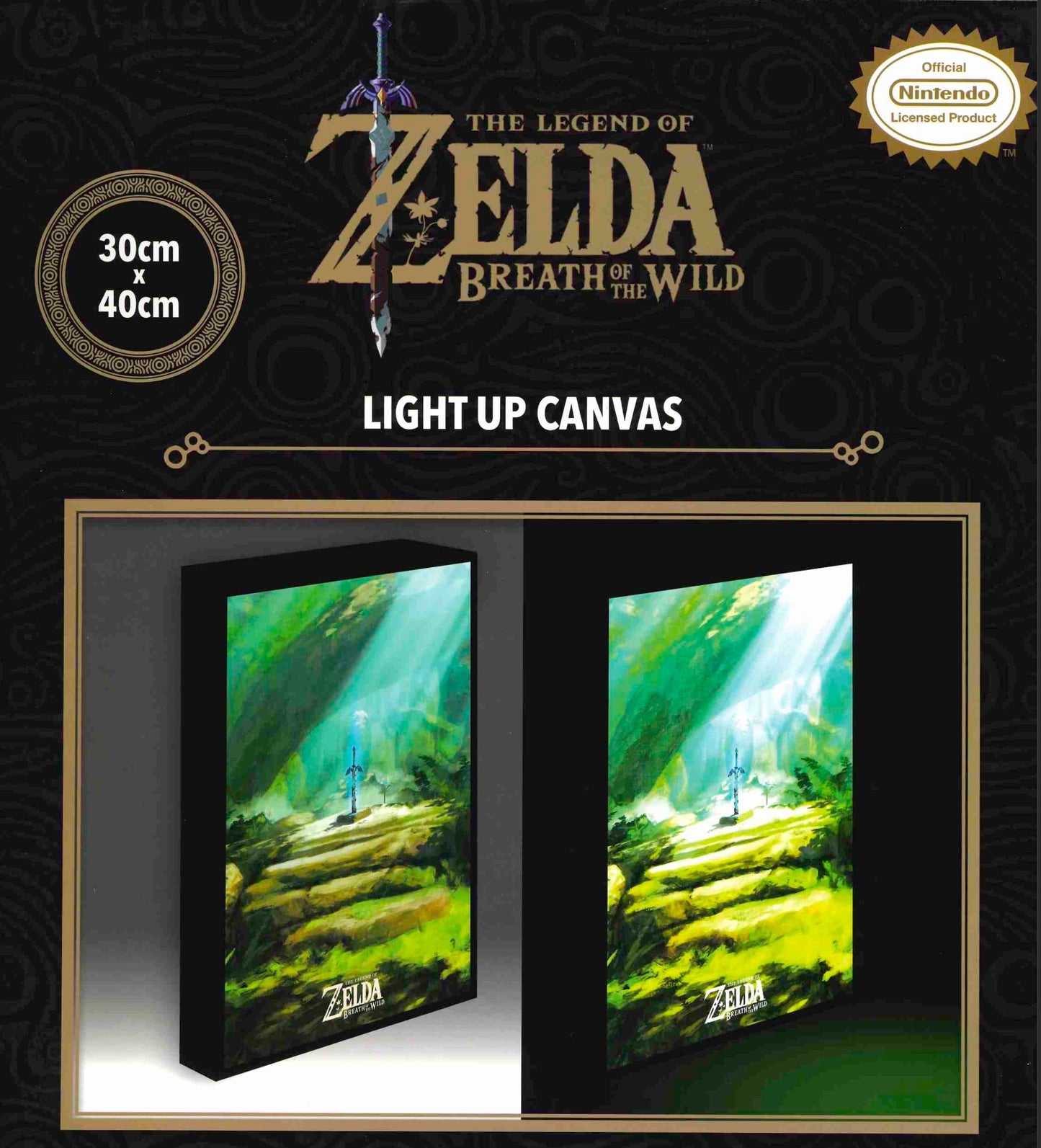 THE LEGEND OF ZELDA - Master Sword - Canvas Lumineux 40X30 Cm